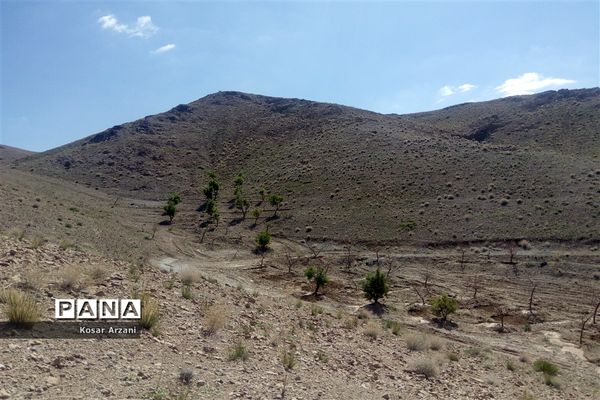 طبیعت زیبای روستا سنجدوک