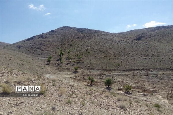 طبیعت زیبای روستا سنجدوک