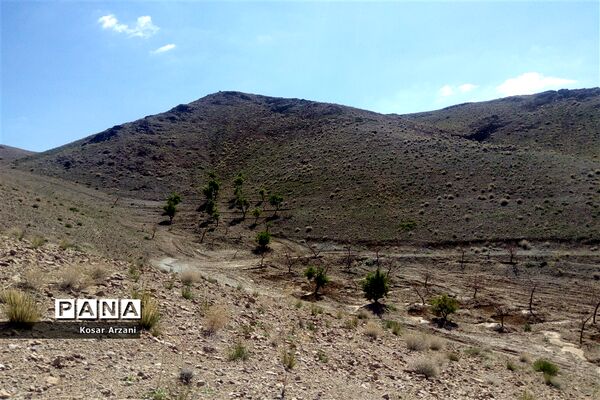 طبیعت زیبای روستا سنجدوک