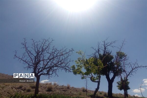 طبیعت زیبای روستا سنجدوک
