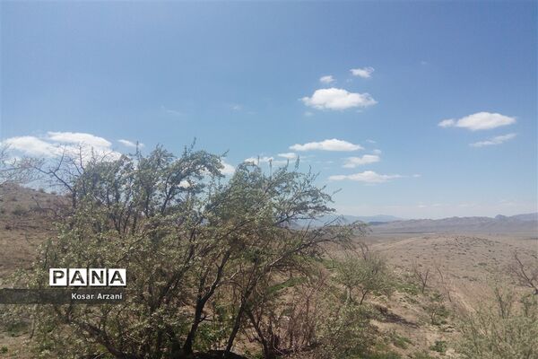 طبیعت زیبای روستا سنجدوک