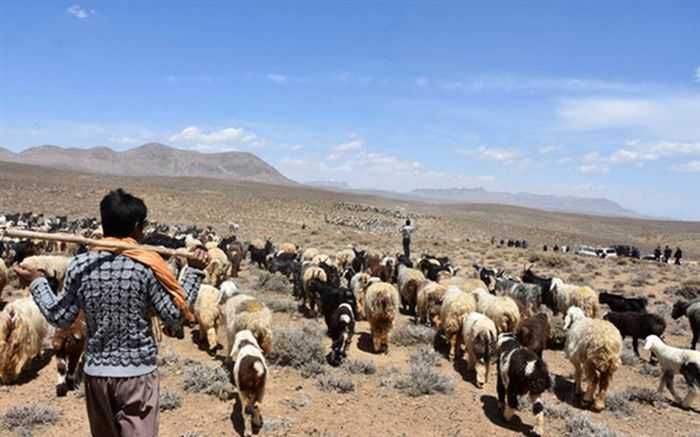 تاخیر بیشتر در کوچ بهاره عشایر امکانپذیر نیست