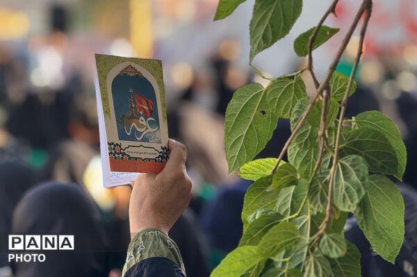 قرائت دعای عرفه با حضور عاشقان در امامزاده عمادالدین رباط‌کریم