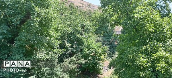 در آغوشِ سکوت؛ جایی که زمین هنوز با خود حرف می‌زند