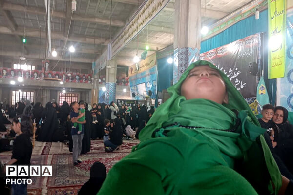 میعادگاه شیرخوارگان حسینی در نی‌ریز