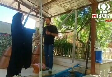 مراسم گلابگیری در قمصر کاشان، پایتخت گل و گلاب