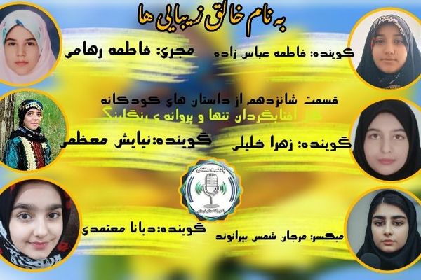 پروانه رنگارنگ و گل آفتابگردان