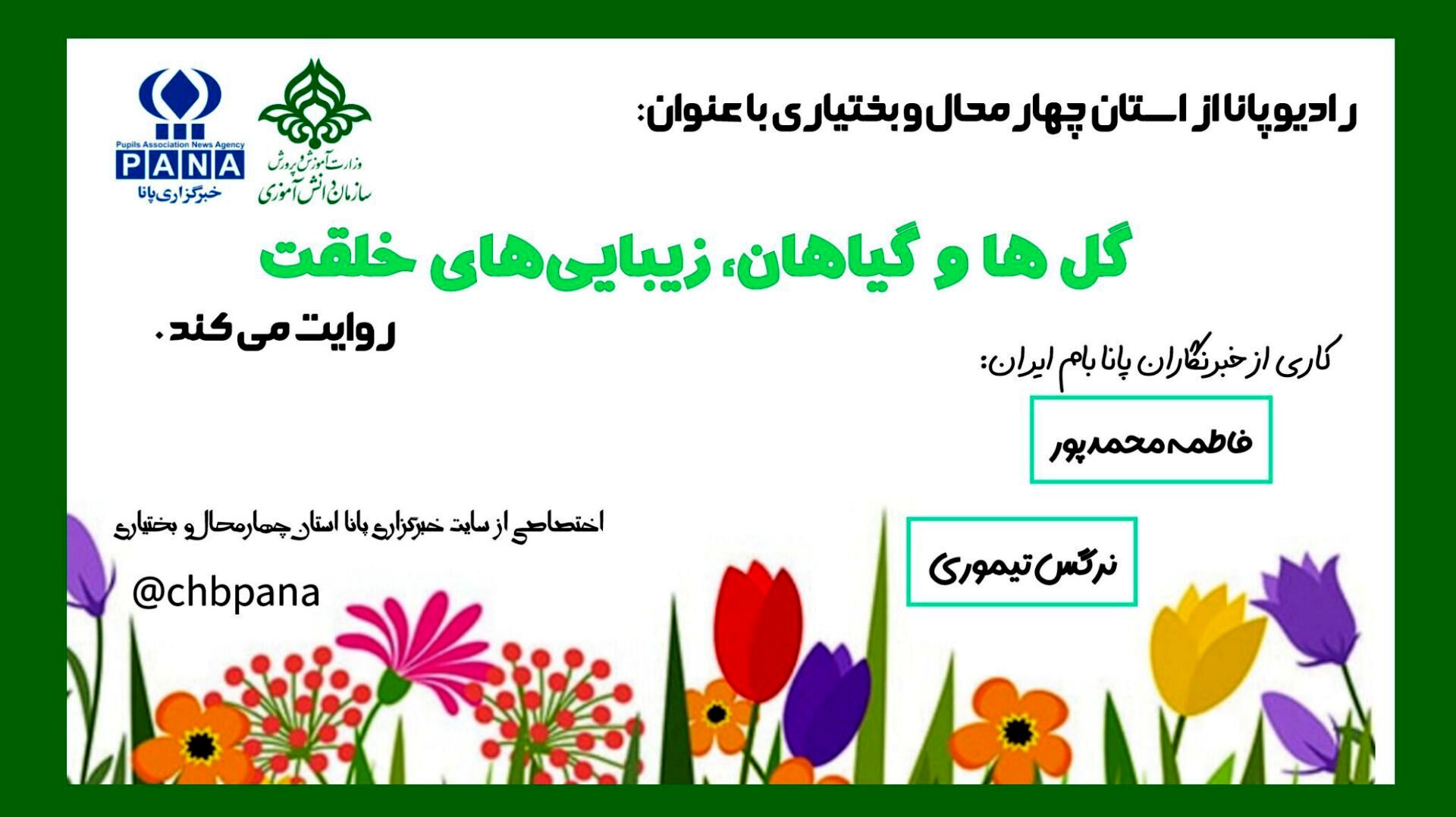گل ها و گیاهان زیبایی های خلقت