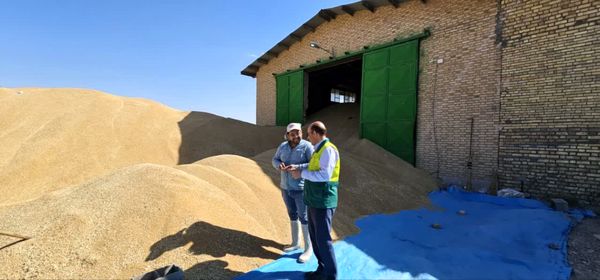 بازدید از مراکز خرید گندم در شهرستان فاروج