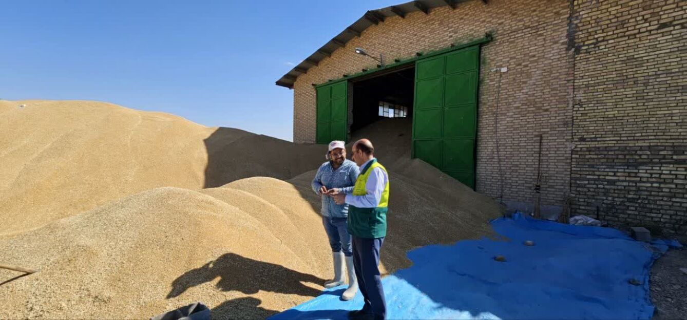 بازدید از مراکز خرید گندم در شهرستان فاروج