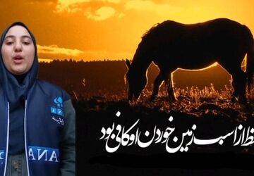 هیئت زنجیرزنان مسجد جامع اهر