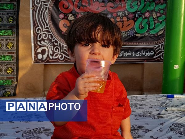 موکب حضرت رقیه(س) شهر حبیب آباد