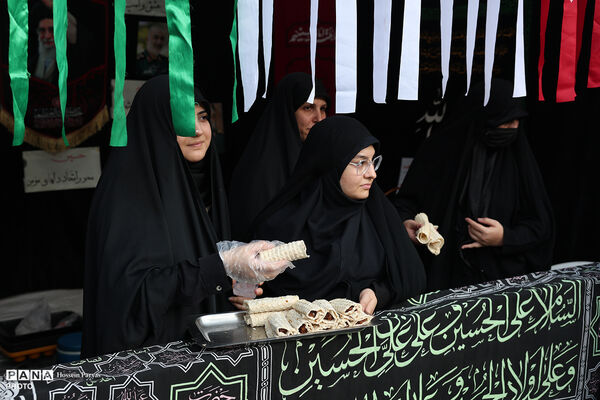 پیاده‌روی جاماندگان اربعین در تهران - 2