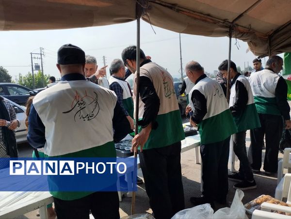 برپایی موکب امام رضا(ع) در میاندورود 