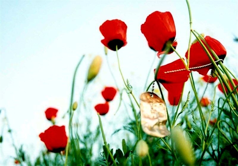 شهدا سمبل شهامت و از خودگذشتگی