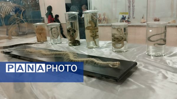 بازدید دانش‌آموزان ناحیه یک مشهد از پژوهش‌سرای علامه طباطبایی