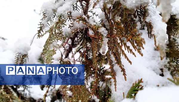 لردگان میزبان اولین برف زمستانی 