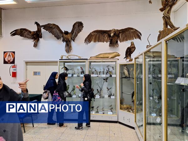 بازدید دانش‌آموزان از موزه زمین شناسی و جانور شناسی دانشگاه فردوسی مشهد