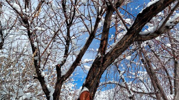 بارش اولین برف پاییزی در روستای نورآباد شازند