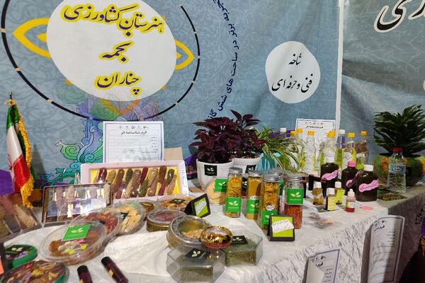 اولین رویداد استانی الف تا در مشهد