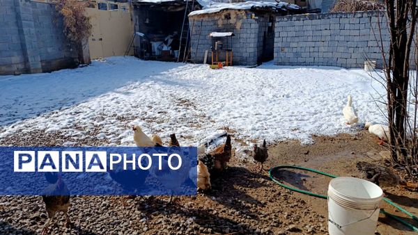 بارش برف در میانکوه