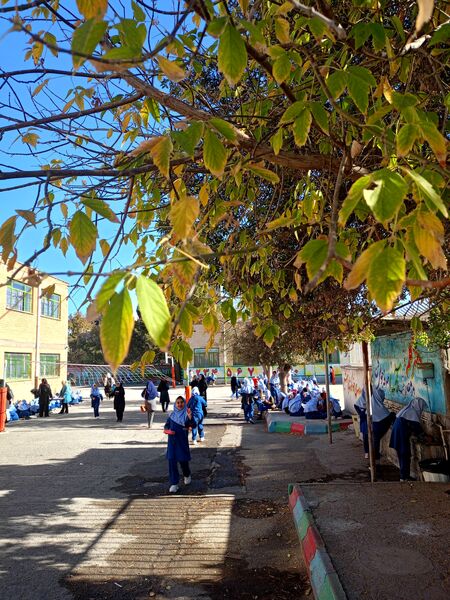 عزاداری ایام فاطمیه در دبستان  بنت الهدی صدر ۲