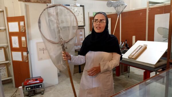 بازدید خبرنگاران پانا از موسسه گیاه شناسی کشور 