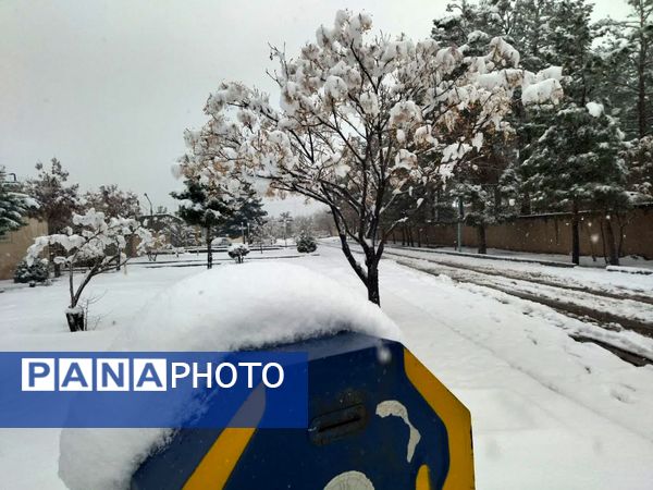 بارش برف در شهرستان تربت جام