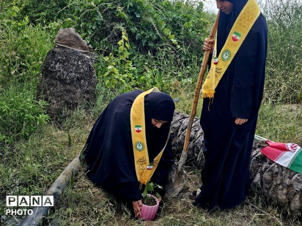 کاشت نهال به یاد دانش‌آموزان شهید مدرسه شجره طیبه میناب در سندرک