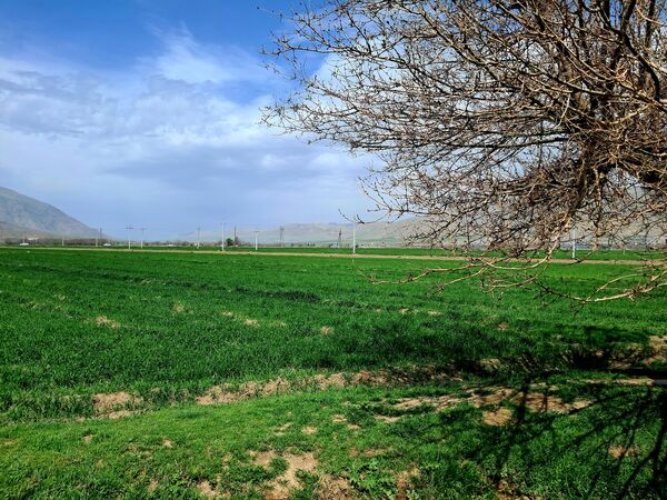 زیبایی های طبیعی شهرستان پاوه به روایت تصویر
