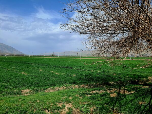زیبایی های طبیعی شهرستان پاوه به روایت تصویر