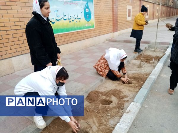 زینت بخشی مدارس شهرستان قدس با کاشت نهال های جوان
