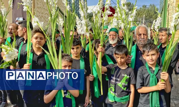 مجموعه عکس«علم از دست علمدار نیفتاده است هنوز»