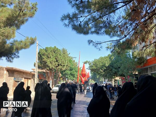 همدلی و ارادت به سیدالشهدا(ع) در تاسوعای حسینی