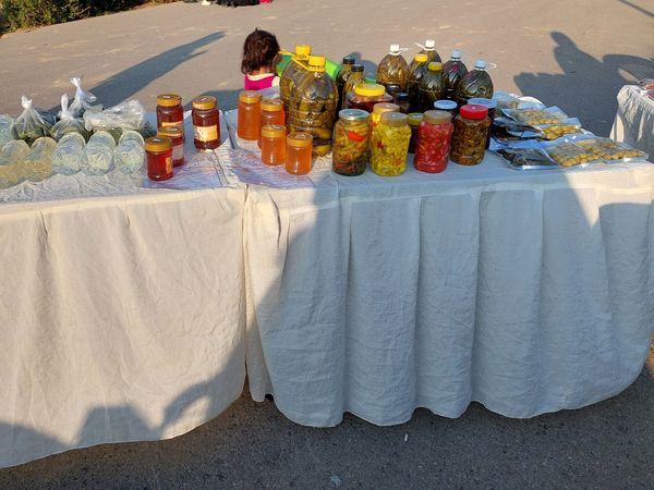 اجتماع بزرگ خانوادگی از مشهد تا قدس