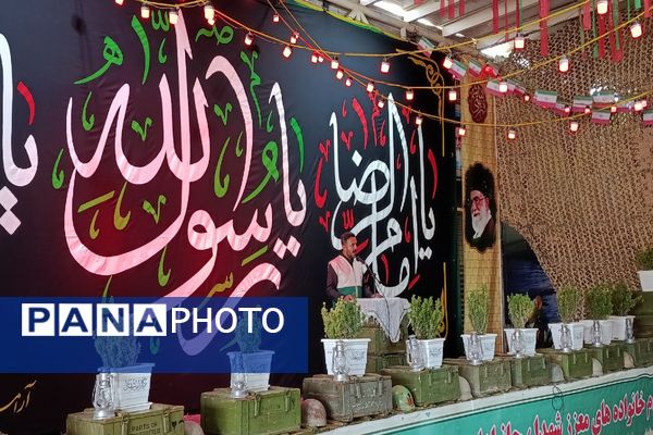 عشق و ارادت مردم شهرستان ملارد به امام رضا (ع) به روایت تصویر