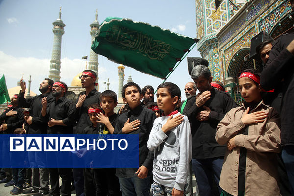 حضور دسته‌عزاداری سالروز شهادت امام جعفر صادق(ع) در حرم حضرت معصومه(س)