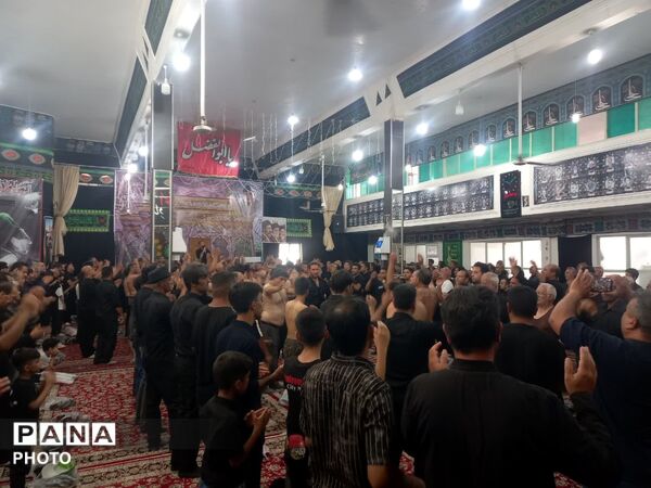 سینه زنی و عزاداری شام غریبان در حسینیه‌های روستای فدافن