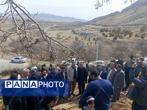 ریشه‌های امید در خاک زندگی