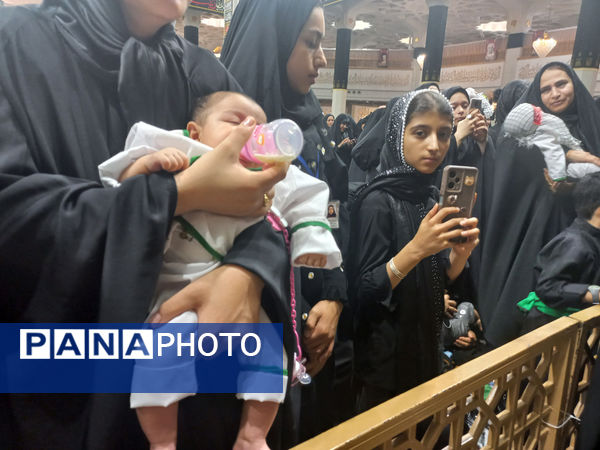 همایش شیرخوارگان حسینی(ع) در قم - 2