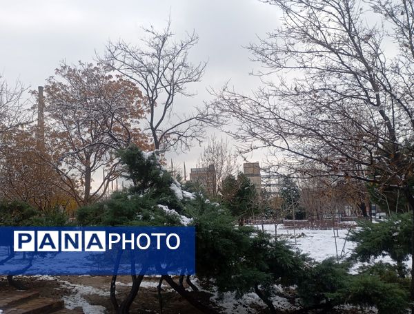 بارش برف در شهر زیبای مشهد 
