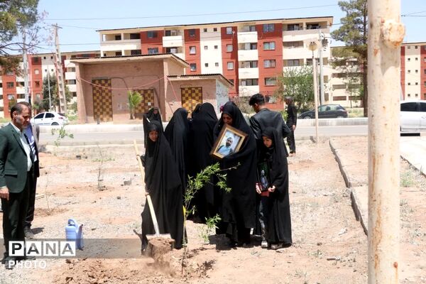 غرس دویست نهال به یاد شهدای جنگ رمضان در پایگاه هوانیروز کرمان