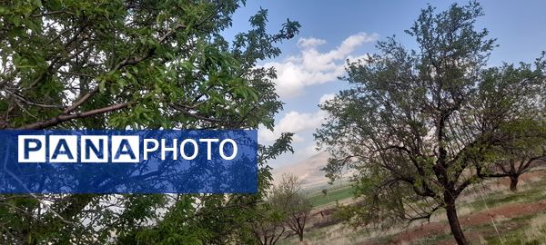 هنر در طبیعت نهفته است