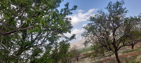 هنر در طبیعت نهفته است