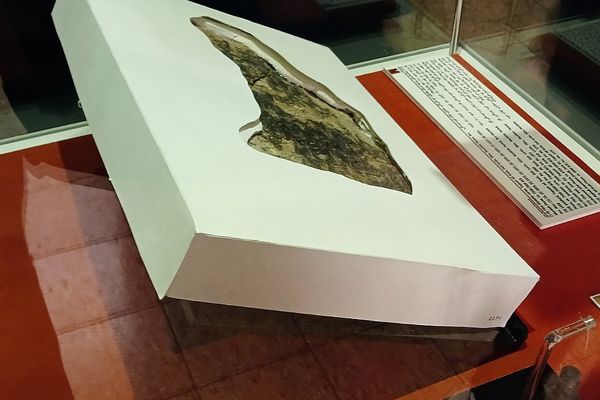 از دریچه روایت مدرسه به تاریخ ایران