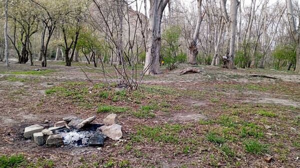 آوای گوش‌نواز بهار در طبیعت شهرستان‌بن