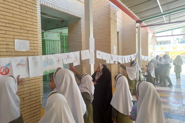 پشه آئدس سوژه نقاشی دانش‌آموزان شد