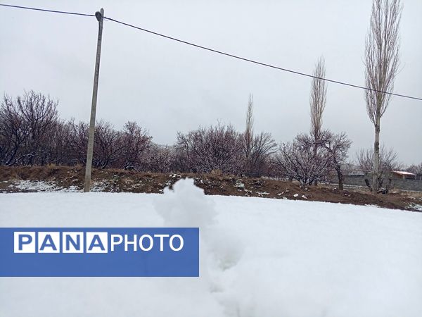 بارش برف بهاری در کوهسرخ