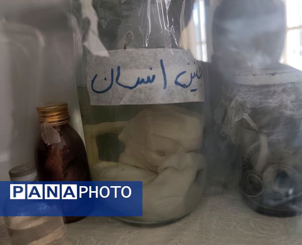 بازدید دانش آموزان مدرسه شهید عامری از پژوهش سرای شهید کاظم نژاد