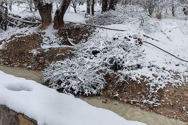 آسمان سخاوتمندانه نعمتش را در ماه شعبان به زمین شهر بار هدیه کرد